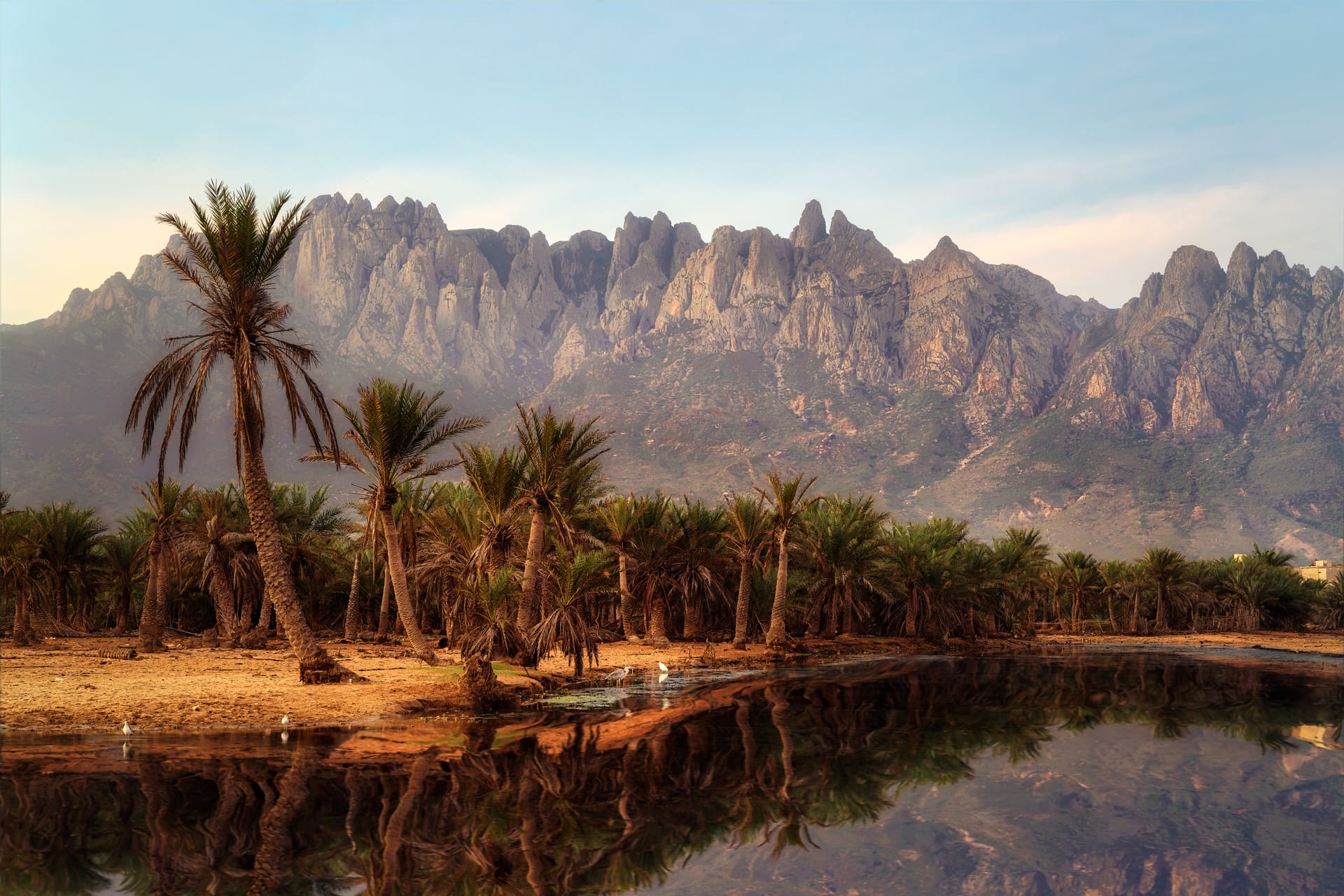 Date palms and their reflection in still water below a jagged mountain range on the Diksam plateau.